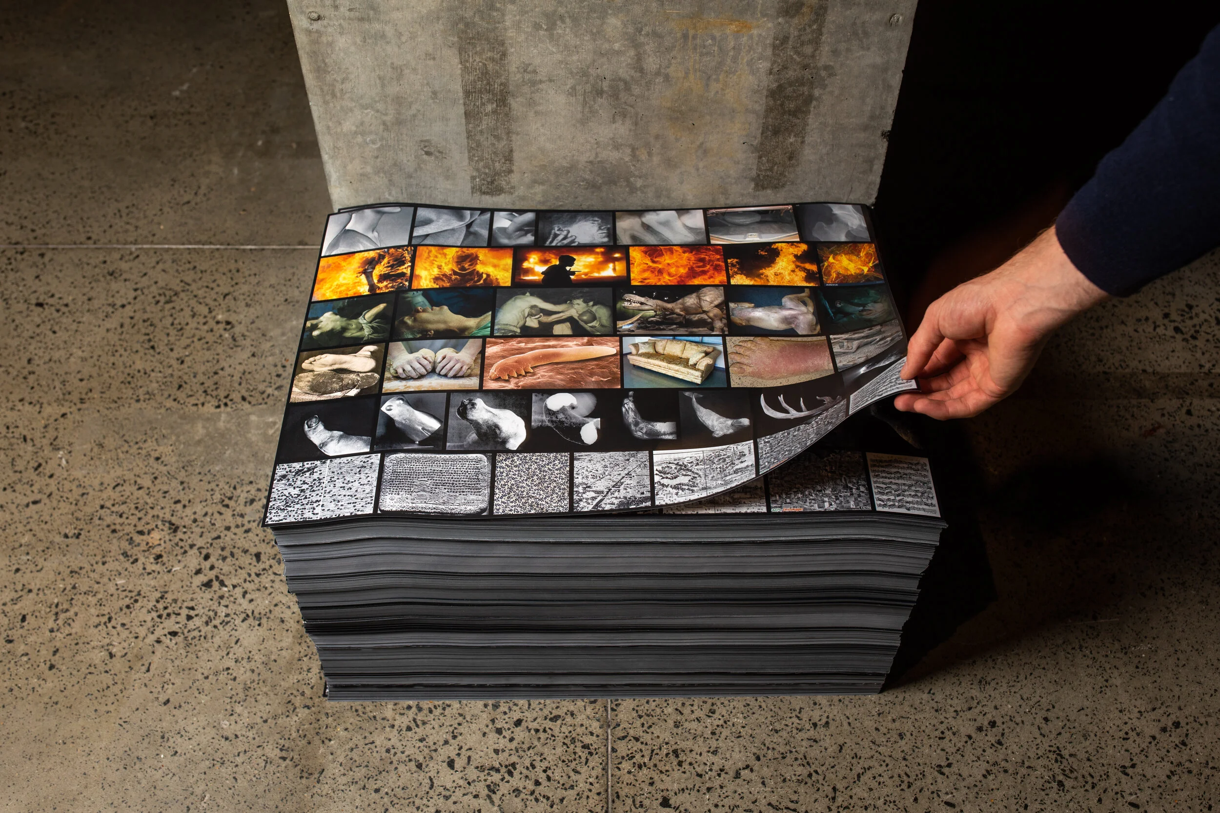 Toby Ziegler, 2019. Image courtesy of the artist and Mona (Museum of Old and New Art), Hobart, Tasmania, Australia