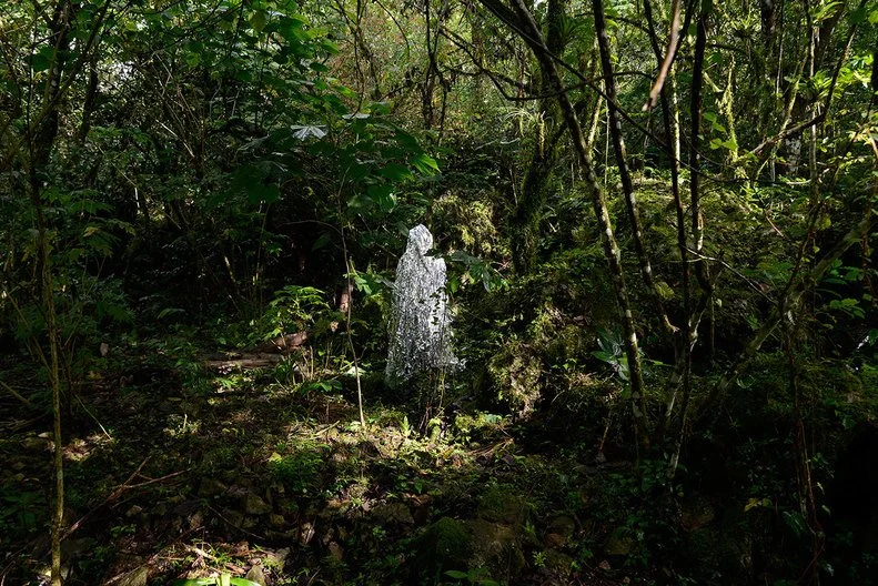 Jemila MacEwan, This Place I, 2016