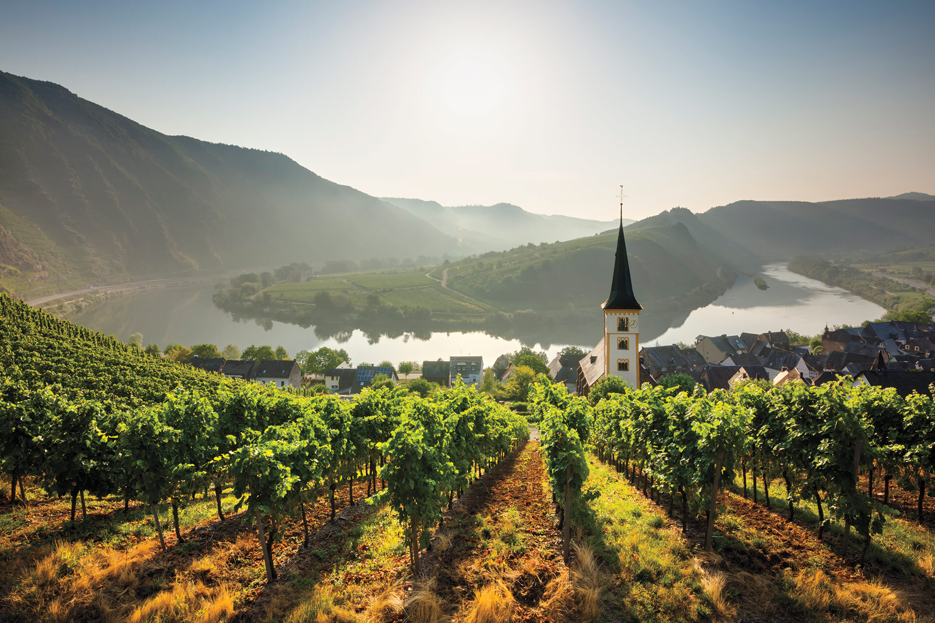 Buying_Guide_Vineyards_of_Riesling_overlooking_Mosel_River_in_Germany_Credit_Getty_Images_1280x1920.jpg