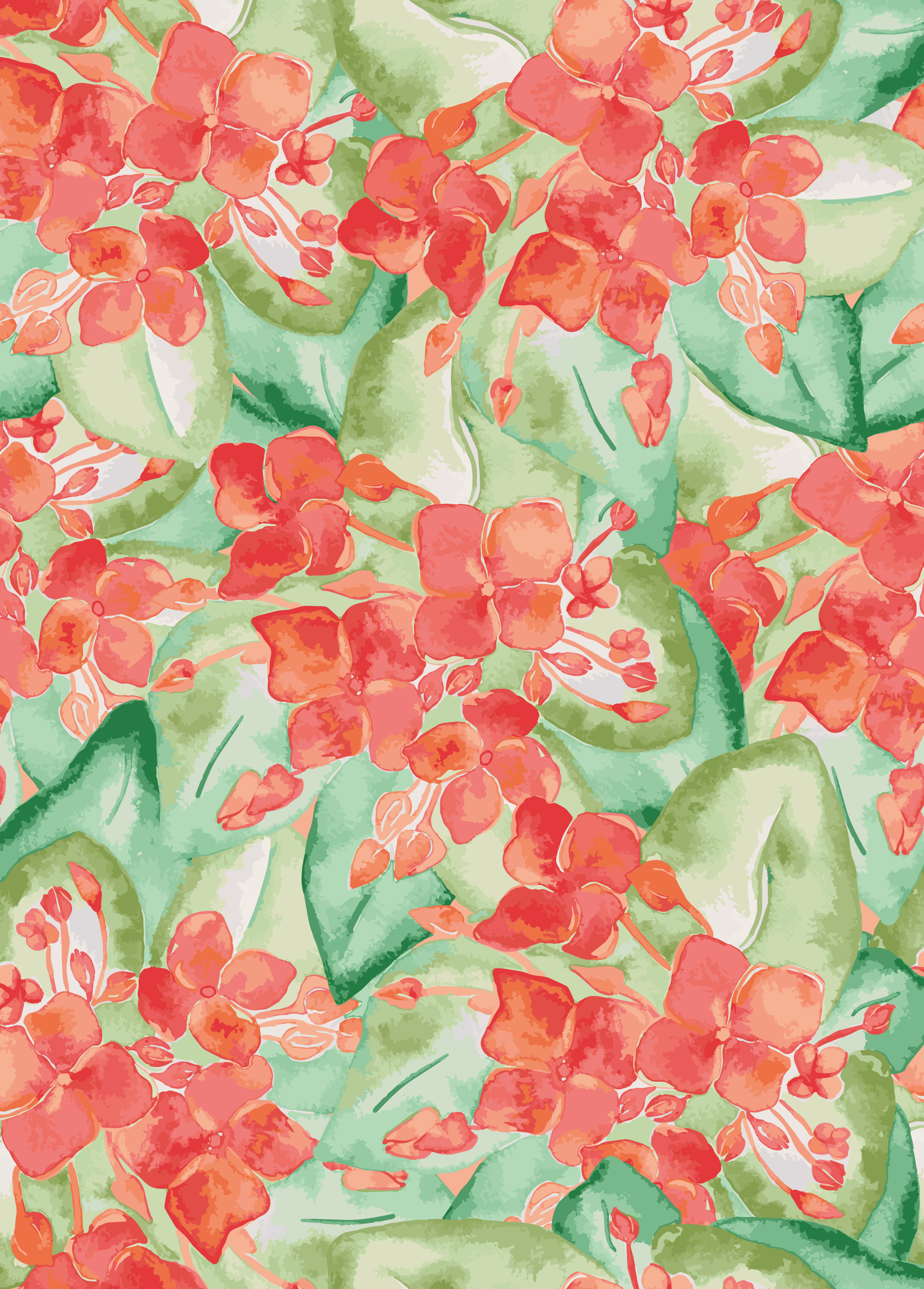 Sudan succulents.png