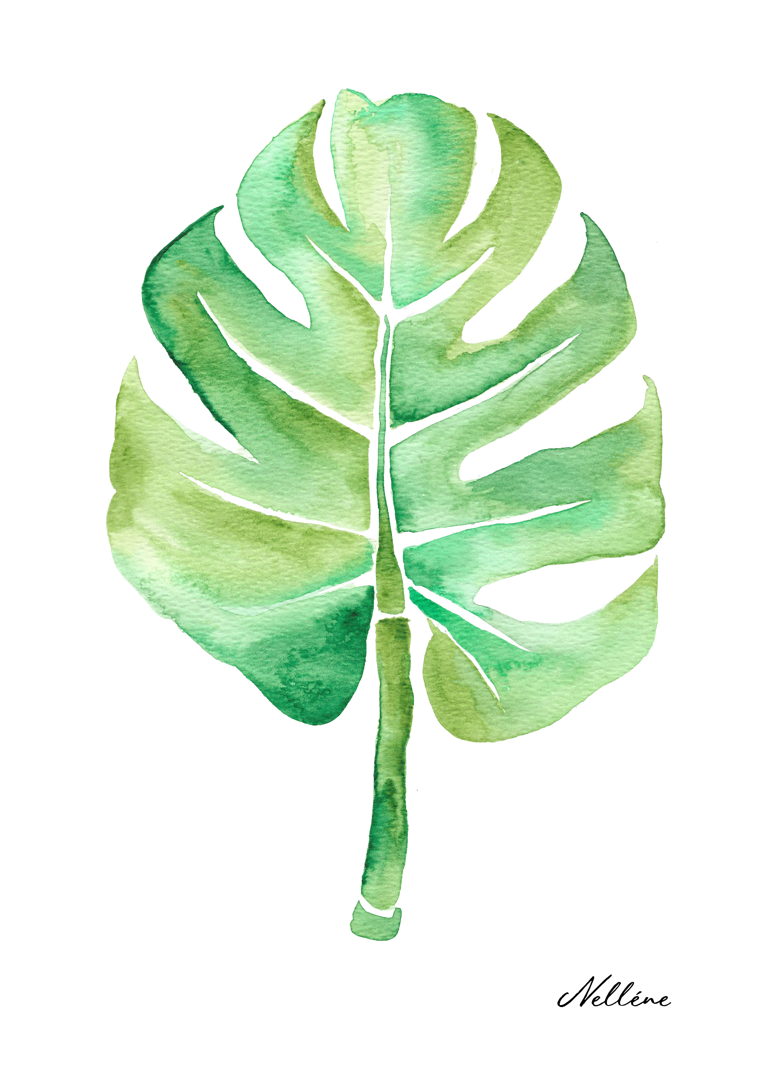 Fine Art Print - Monstera Leaf