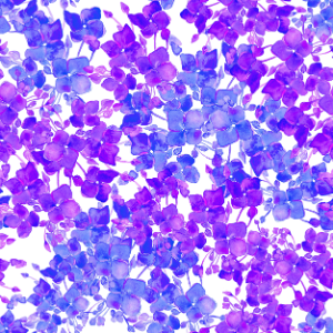 Blooms - Purple-2in-150dpi.png