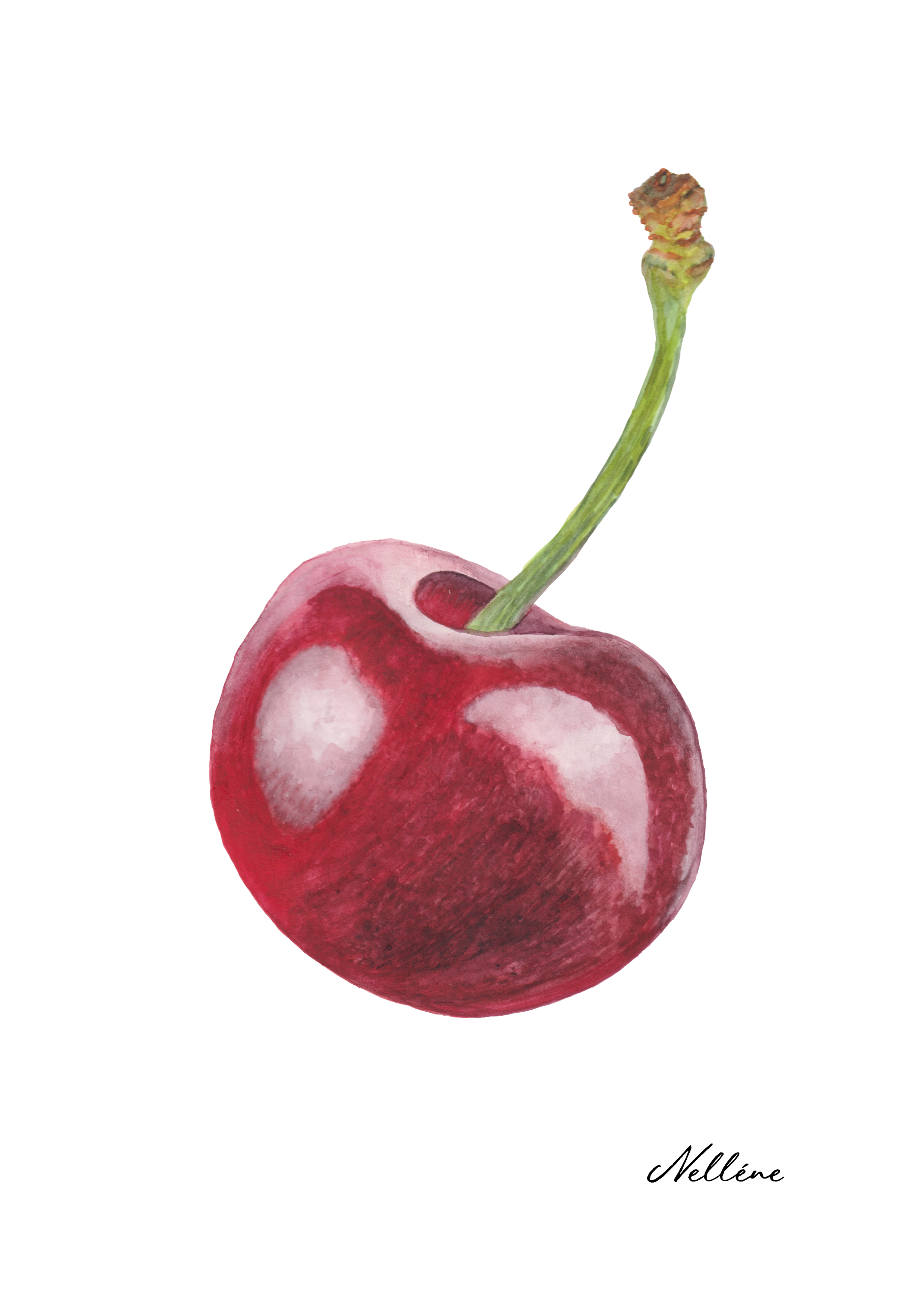 Fine Art Print - Cherry