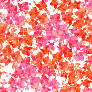 Blooms - red and pink-2in-150dpi.png