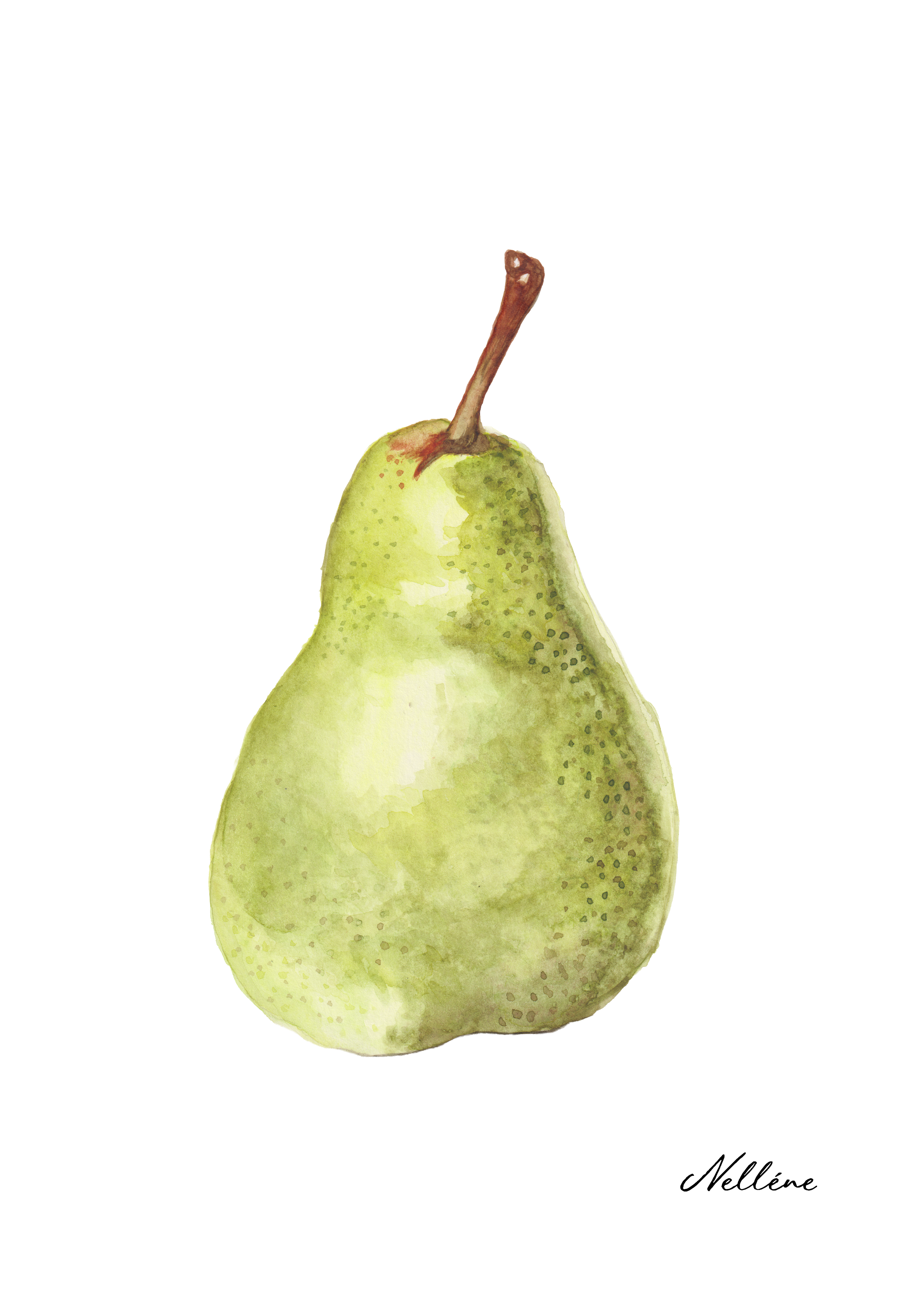 Fine Art Print - Pear