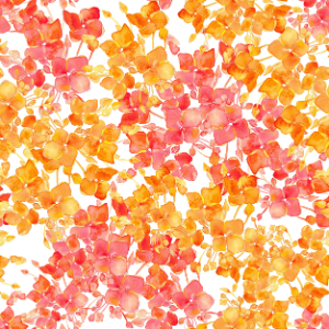 Blooms - red and orange IG-2in-150dpi.png