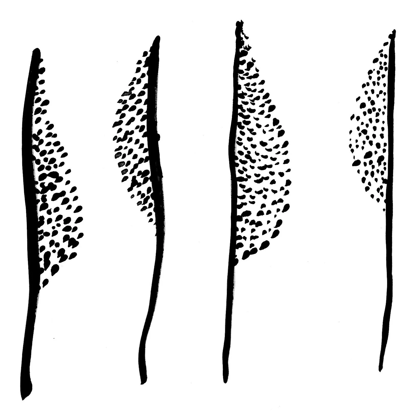 Black ink brushstrokes with clusters of small dots forming abstract leaf‑like patterns.