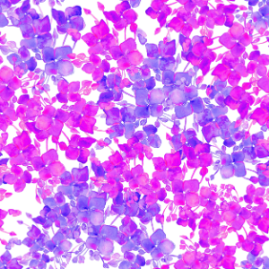 Blooms - pink-2in-150dpi.png