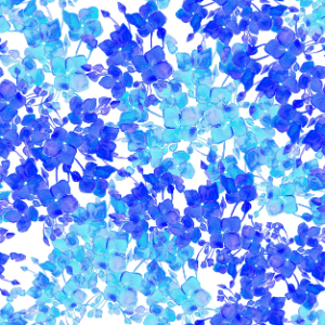 Sudan Succulents - blue-2in-150dpi.png