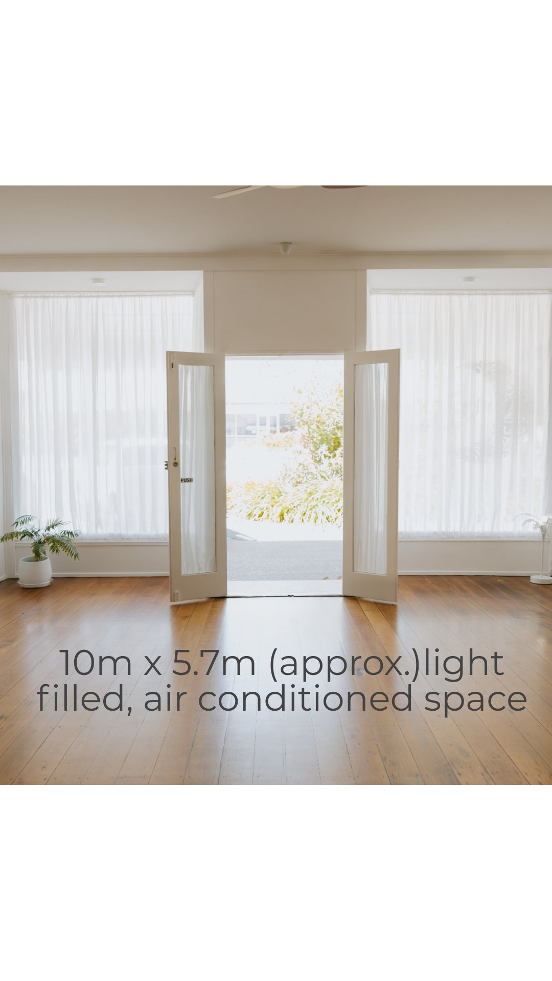 Untitled design-5.jpeg