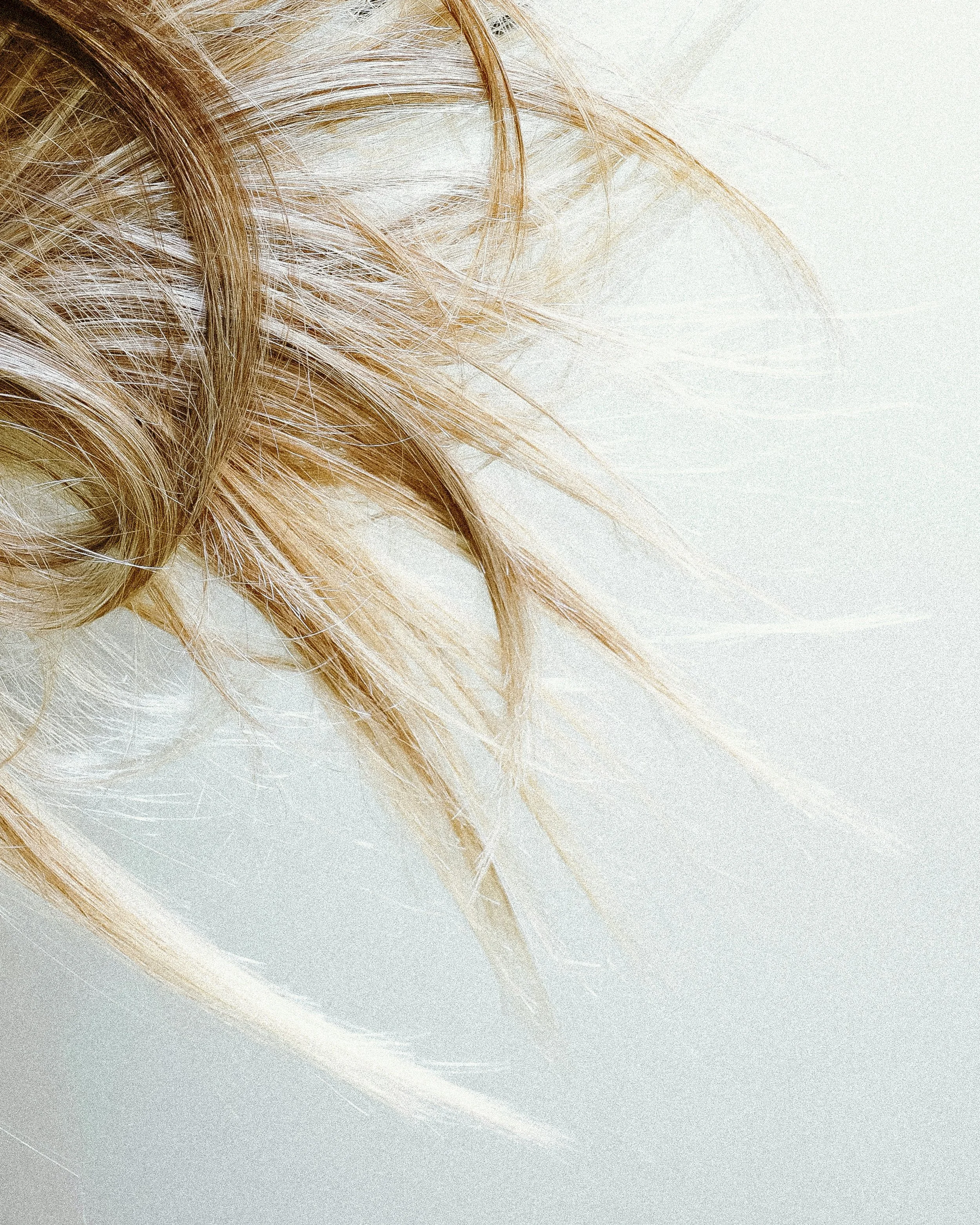 Hair Tissue Mineral Analysis (HTMA): The Test That Changed How I Understand Health
