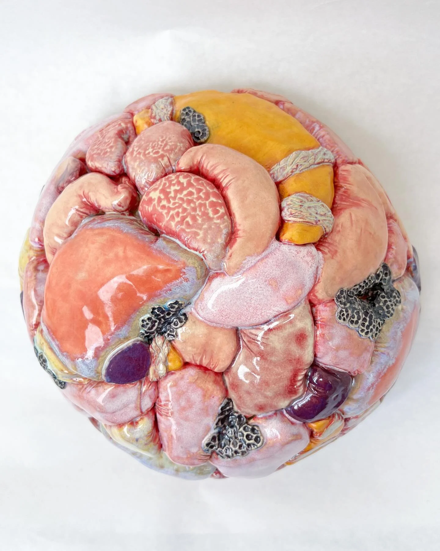 Everyone&rsquo;s vying for space, irritated and inflamed 

#endometriosis #ceramicsculpture