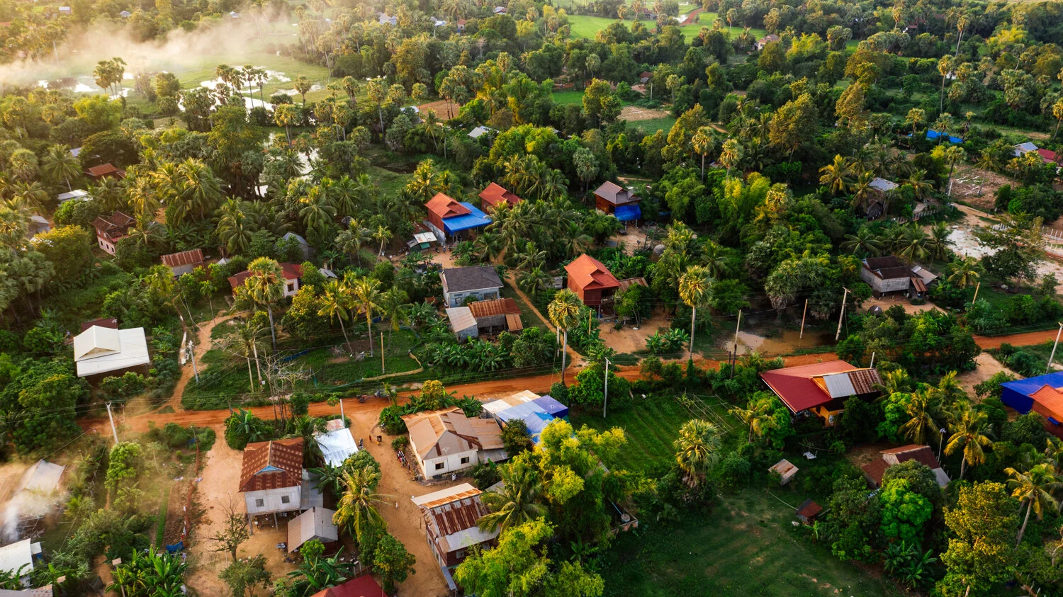 Rice Fields-50 2.JPG