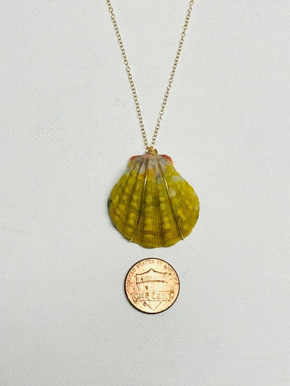 https://i.etsystatic.com/10434935/r/il/52b71c/1436123499/il_570xN.1436123499_foyc.jpg