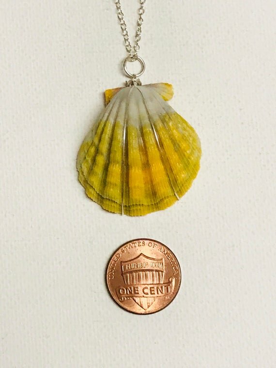 https://i.etsystatic.com/10434935/r/il/85afd0/1413619051/il_570xN.1413619051_fwbm.jpg