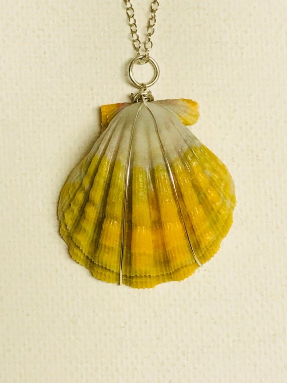 https://i.etsystatic.com/10434935/r/il/7f2d8f/1366349064/il_570xN.1366349064_izid.jpg