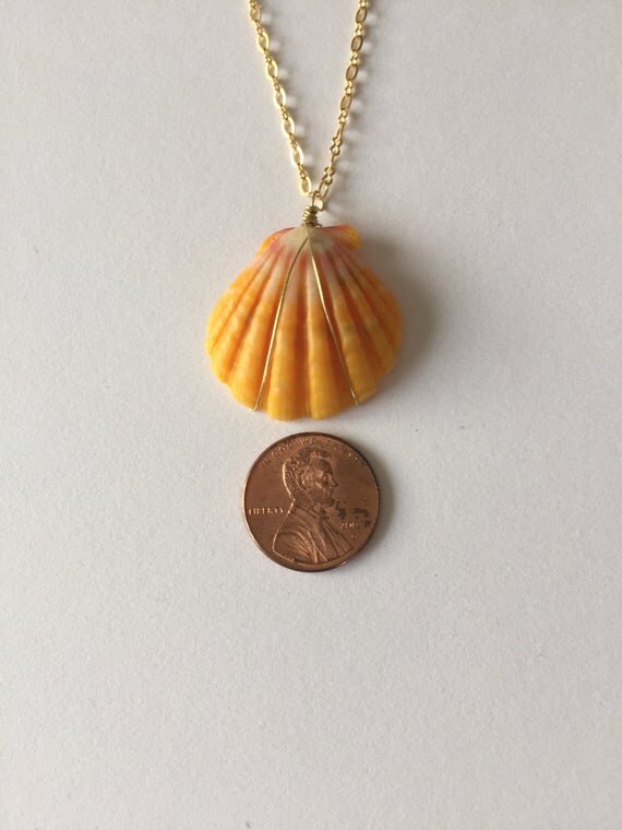 https://i.etsystatic.com/10434935/r/il/afbcc2/955430856/il_570xN.955430856_22rh.jpg