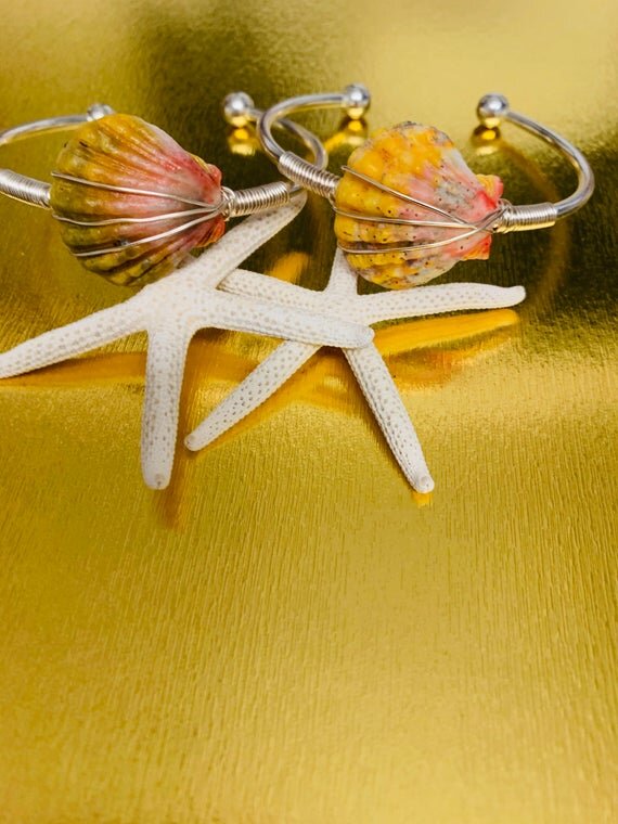 https://i.etsystatic.com/10434935/r/il/c69d52/2395821557/il_570xN.2395821557_t4ck.jpg