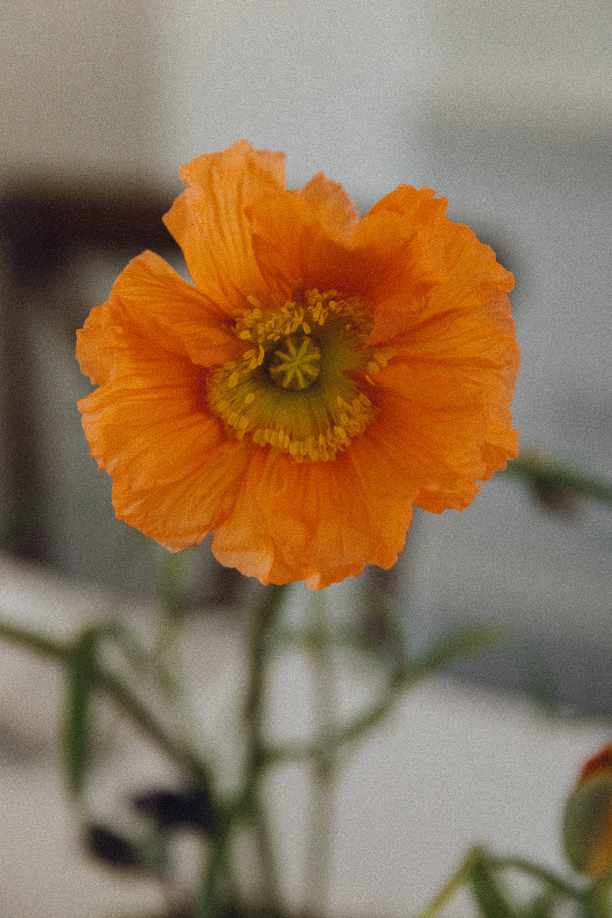 C&B_IndiaHobson_WEB-114.jpg