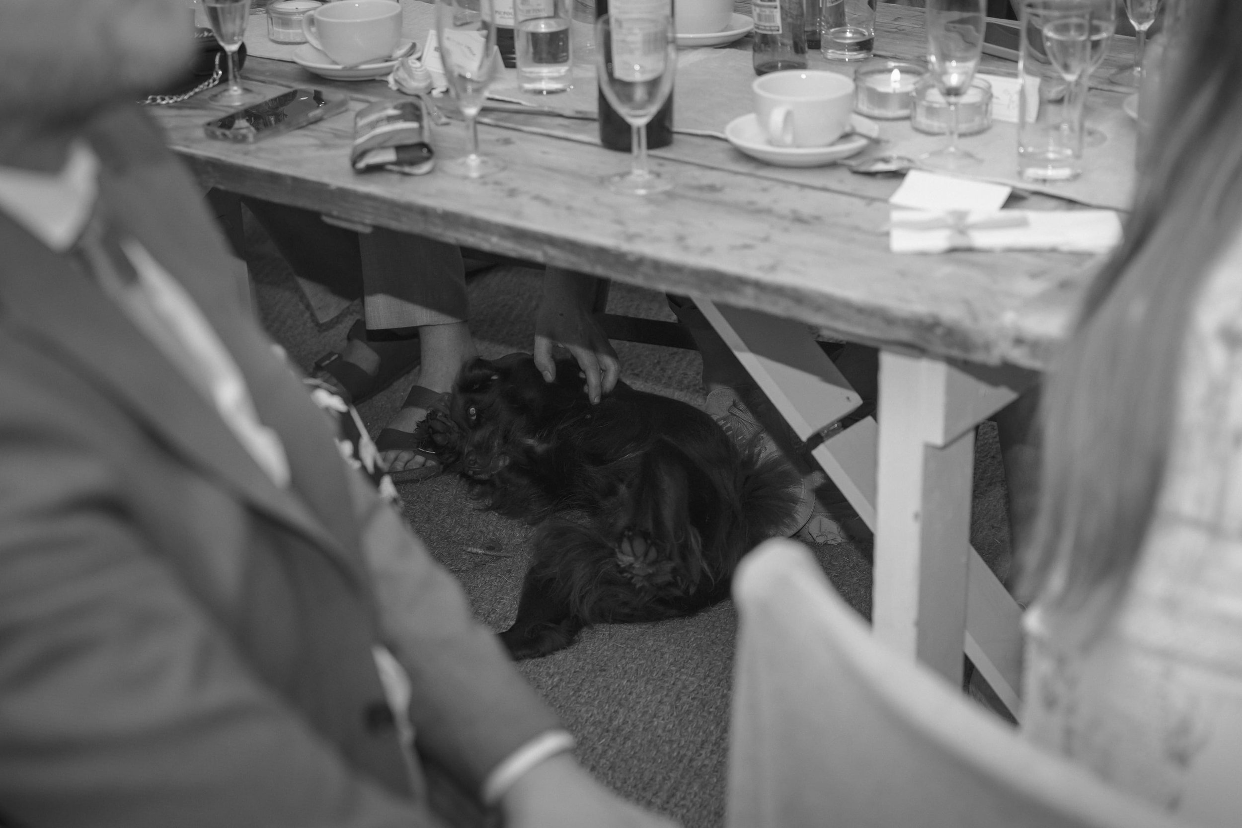 Maddie&Joe_IndiaHobson_Web-148.jpg