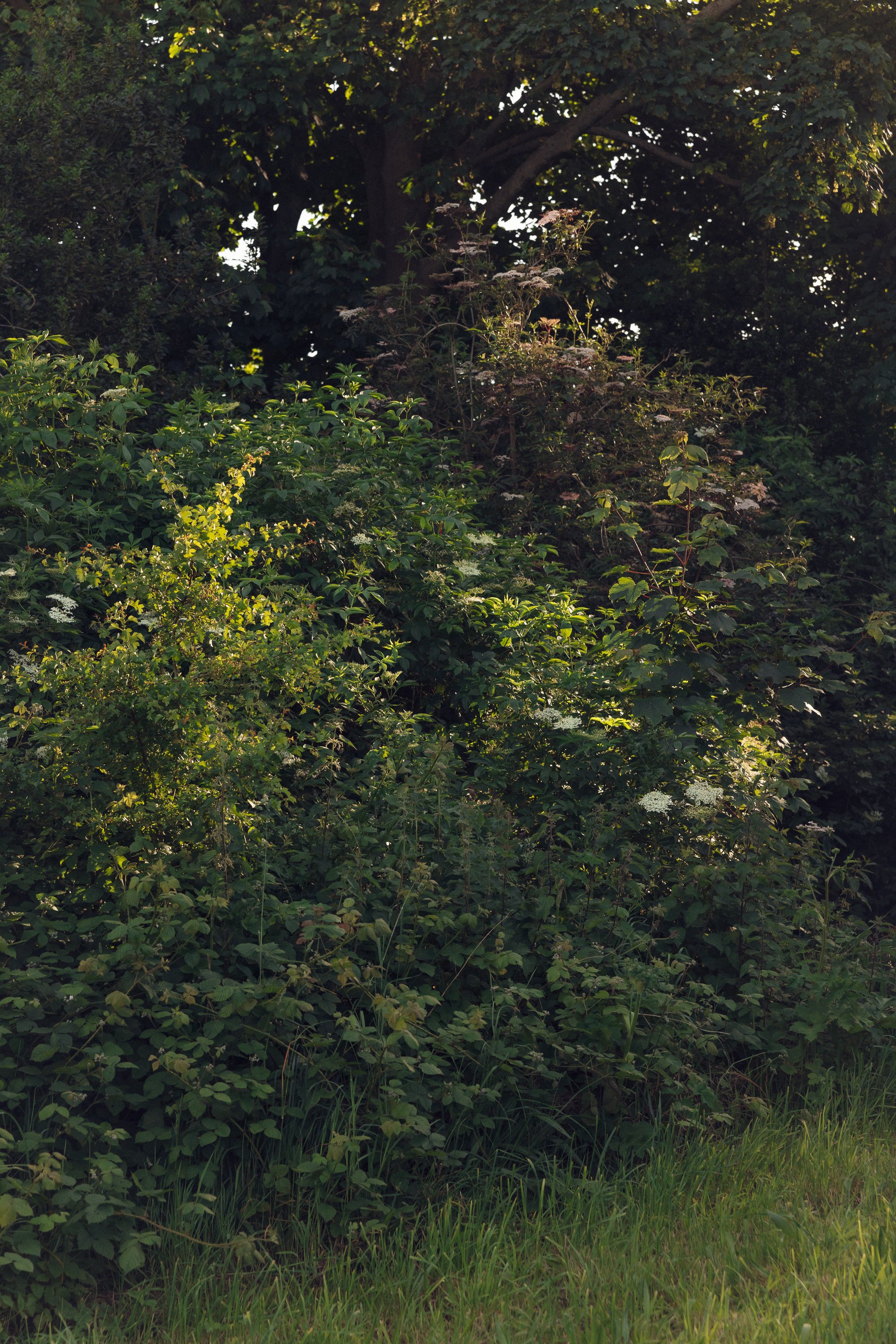 East Riding of Yorkshire wedding