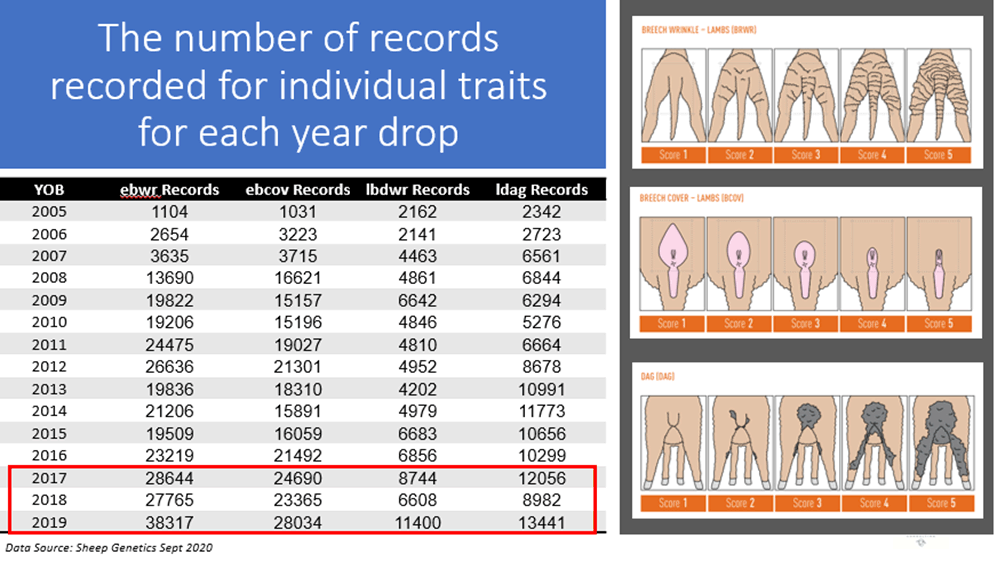 Breech-Wrinkle-Breech-Cover-Dag-Graph2.png