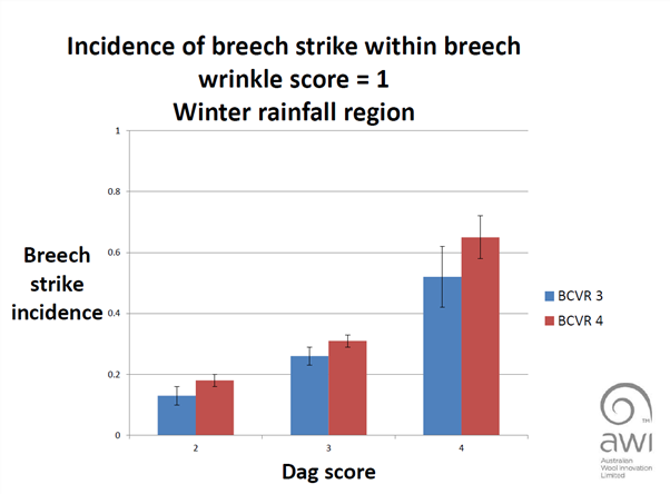 Dag Score_EBWR 1.png