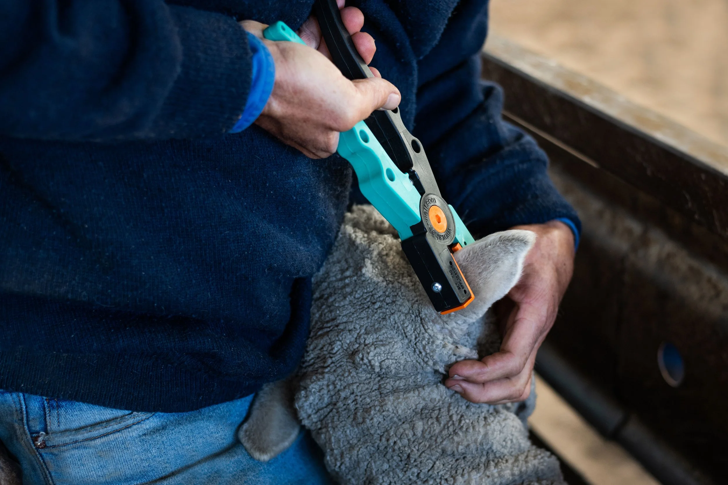 Emergency Animal Disease Update