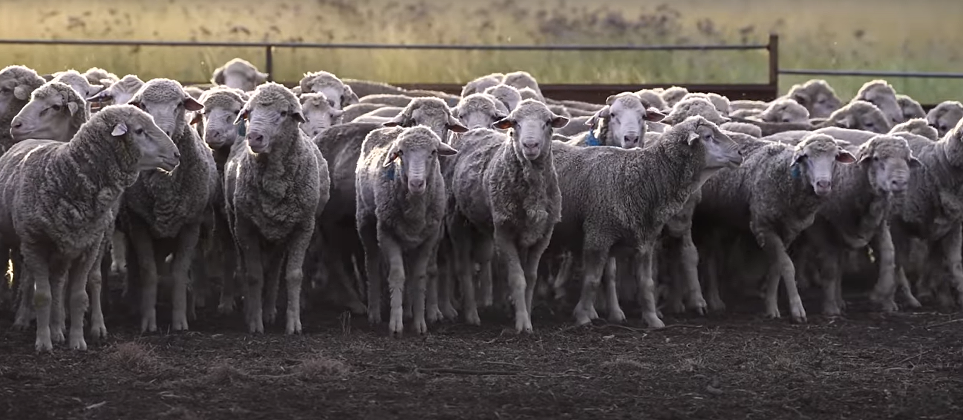 Screenshot 2024-03-14 160817.png