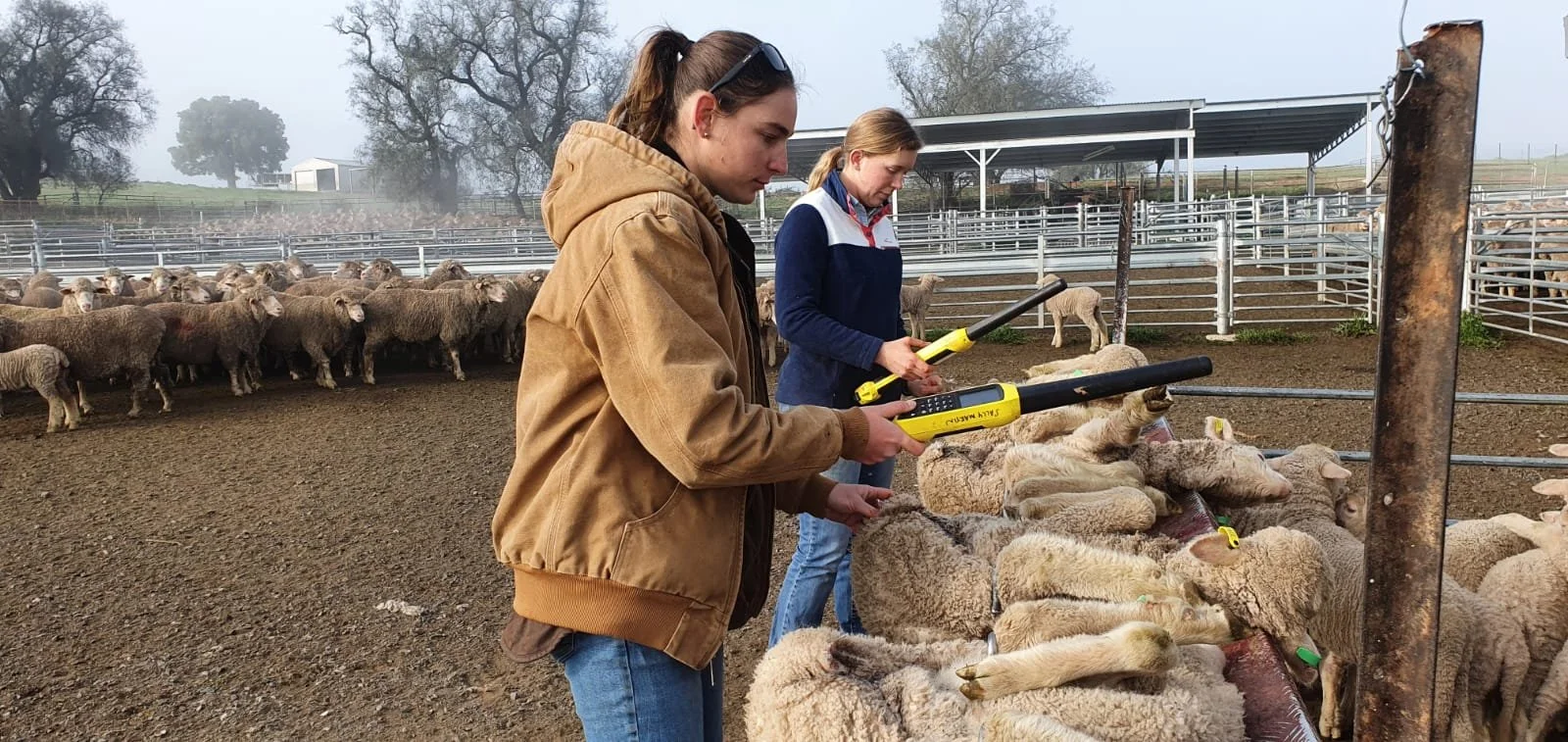 WhatsApp Image 2021-09-10 at 4.44.43 PM.jpeg