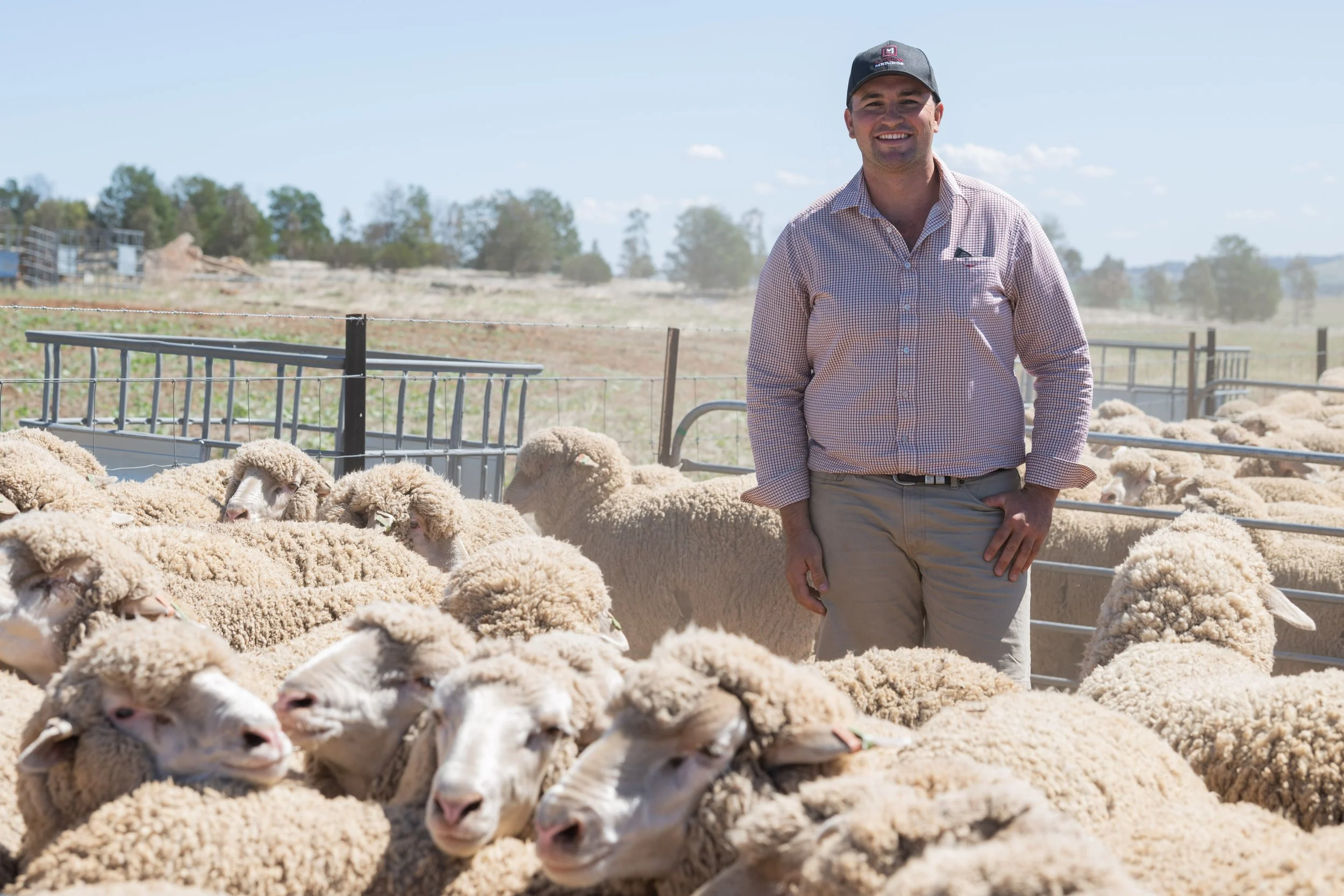 SheepMetrix26-8551.jpg