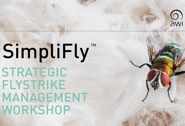 SimplFly Logo.jpg