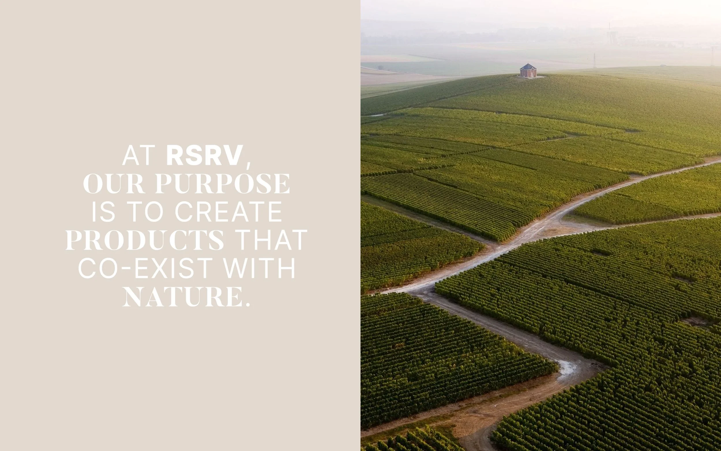 Champagne RSRV MUMM_BuroNouvo