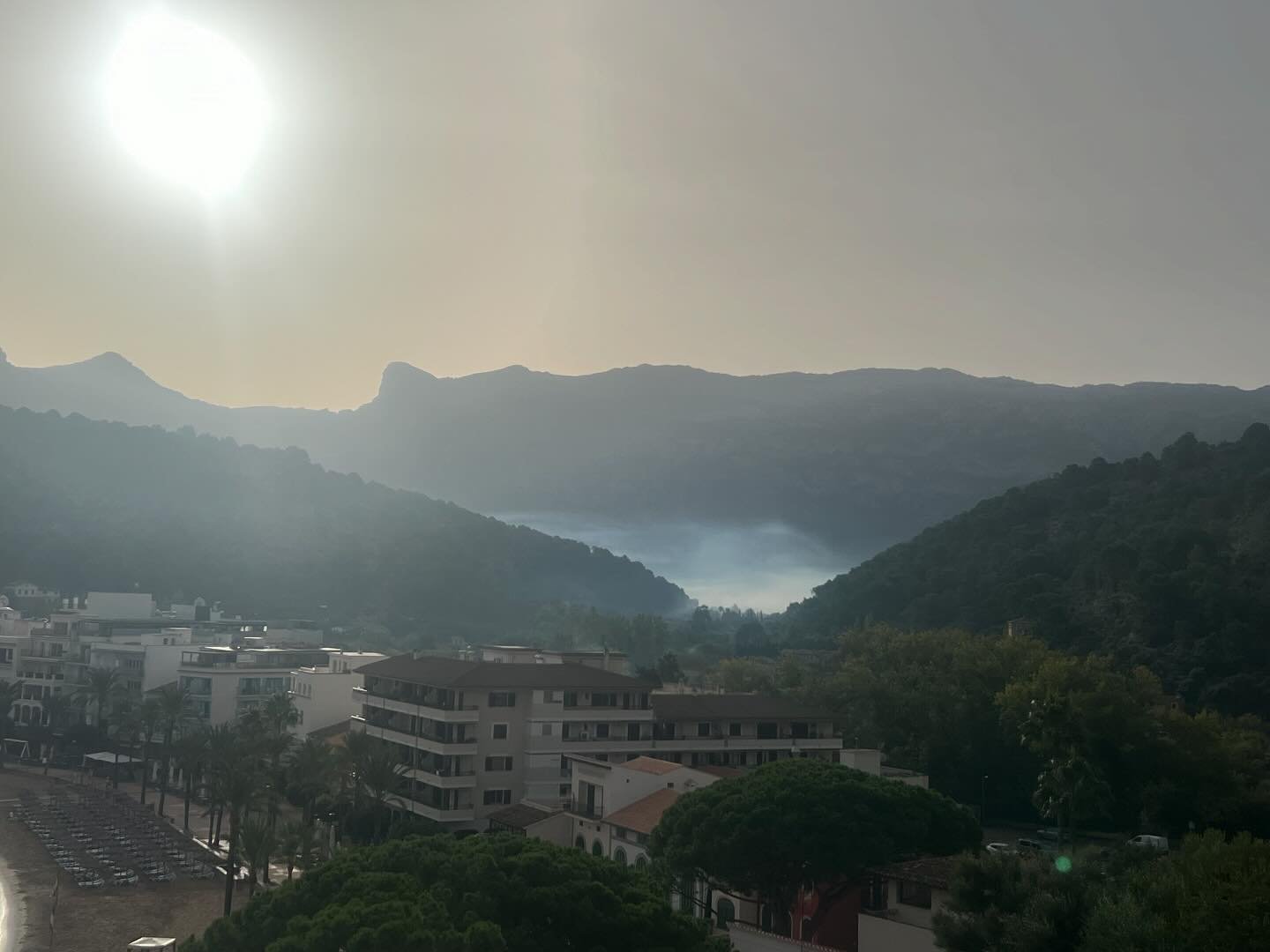 Happy Monday 💙 
#nature 💙 #mallorca #puertosoller