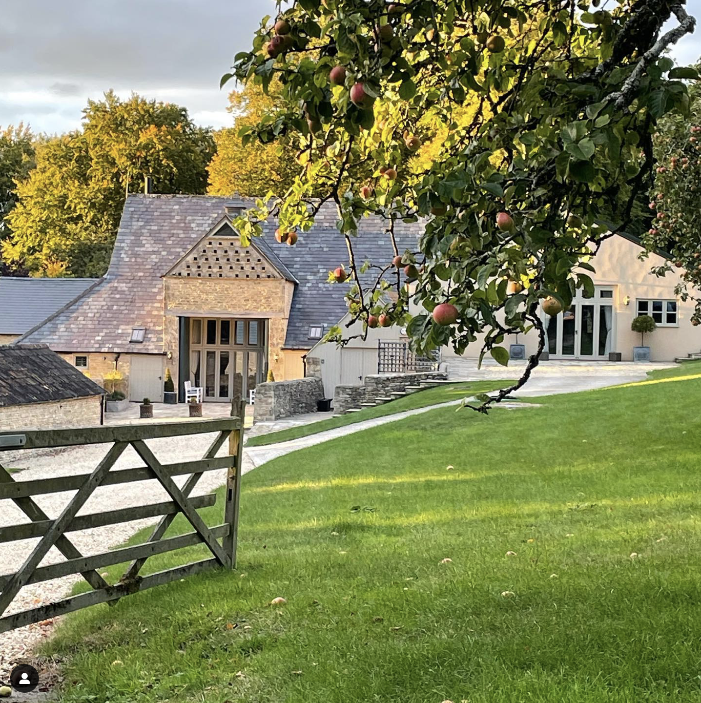 A garden with a green lawn, a wooden gate, and a stone path leading to a house with beige walls and large windows. An apple tree with ripening apples is in the foreground, partially obscuring the view of the house.