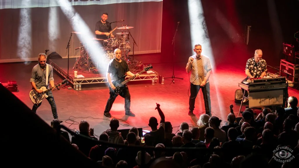 2025-12-11 Inspiral Carpets 21.jpg