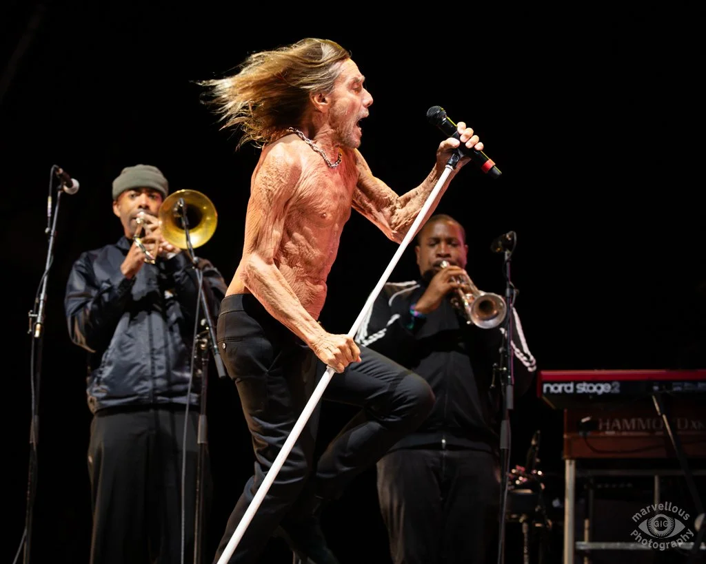 Iggy Pop, Bearded Theory Festival 2025