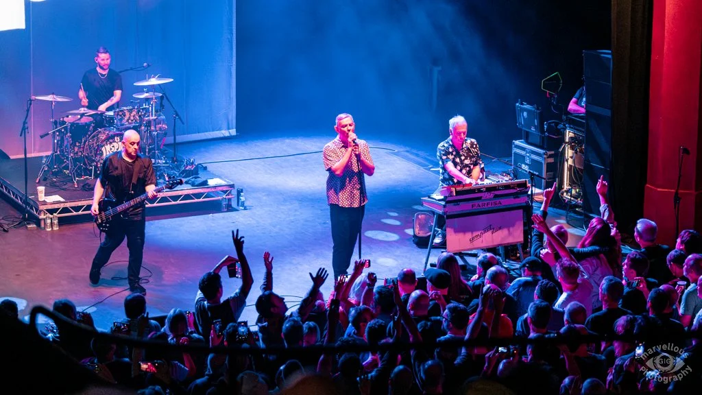 2025-12-11 Inspiral Carpets 18.jpg