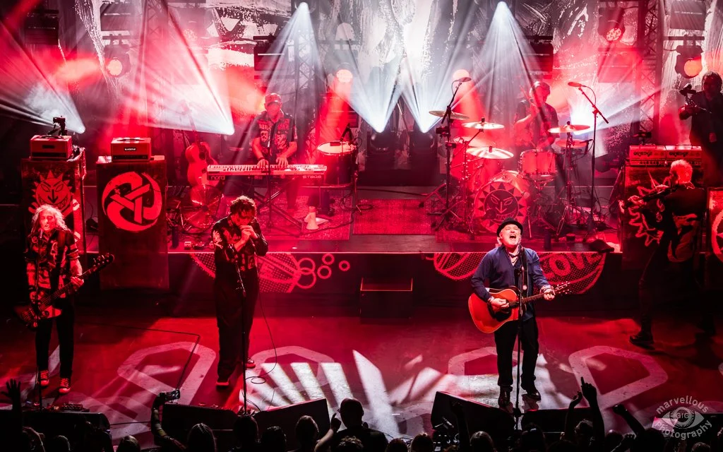 2025-11-14 Levellers 19.jpg