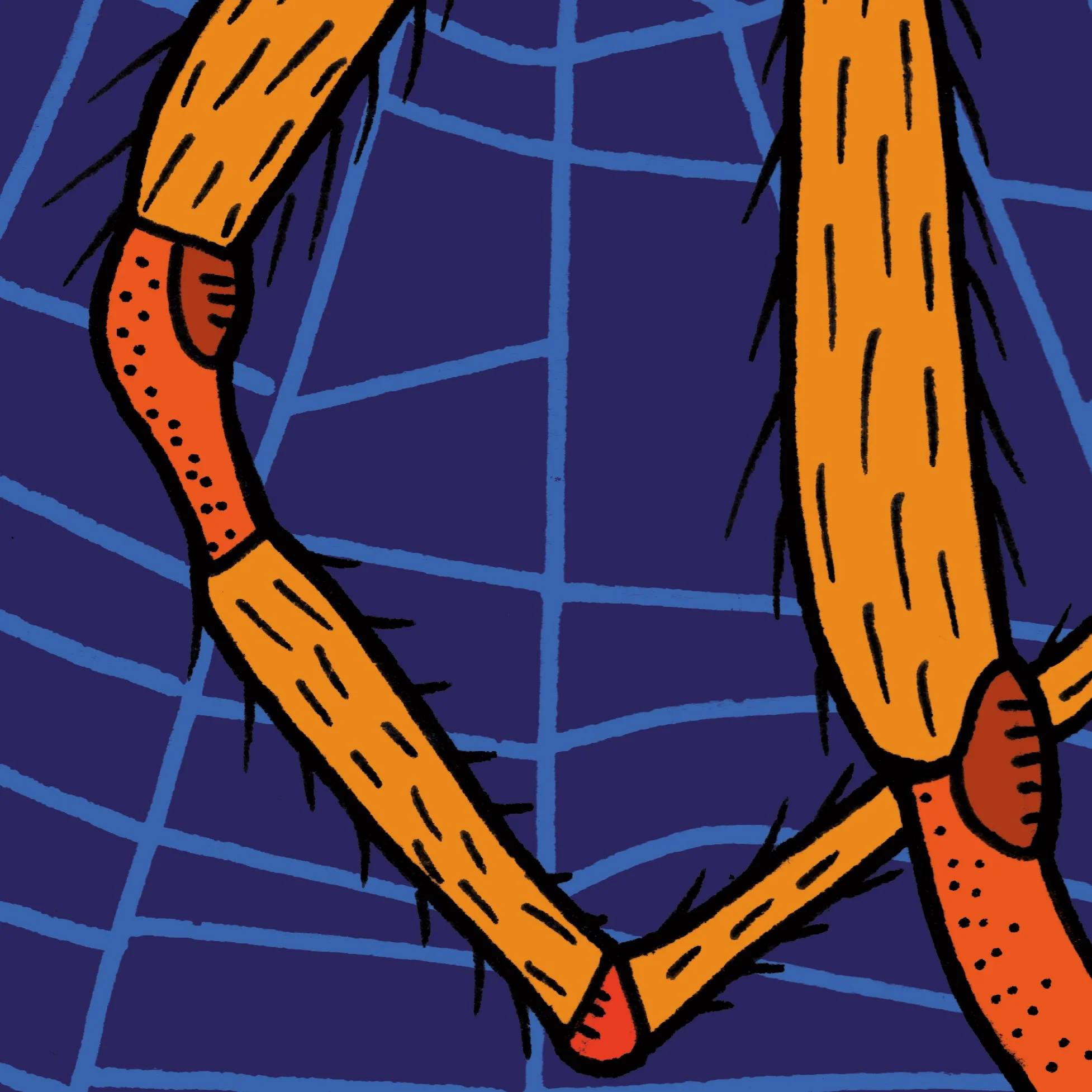 Spider2.jpg