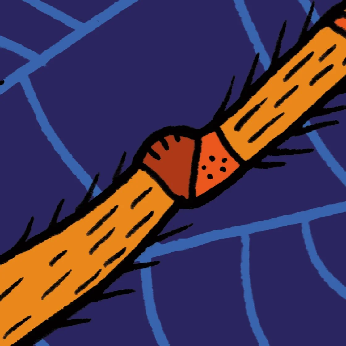Spider3.jpg