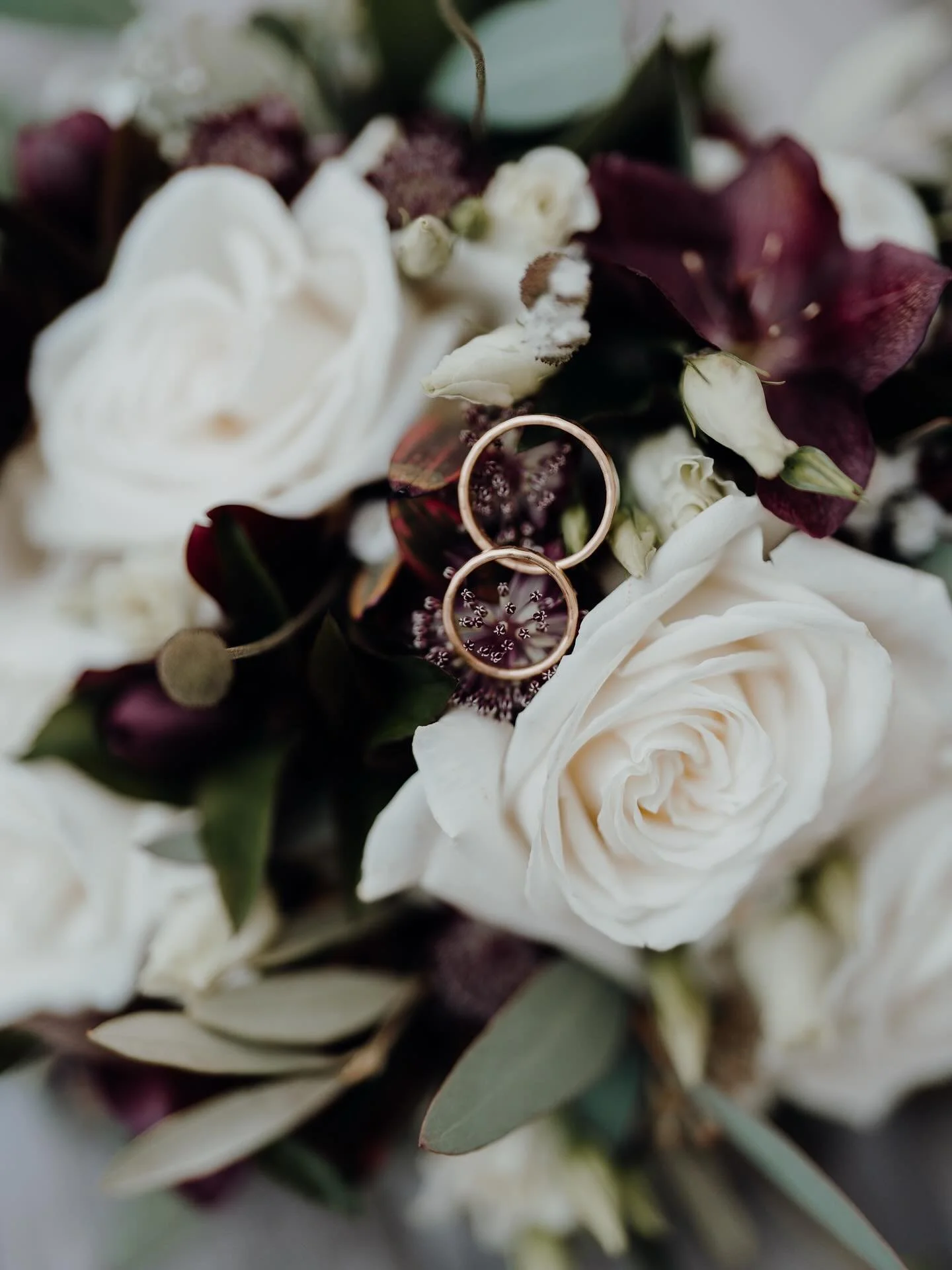 Just married magic 💍💐

*Werbung wegen Verlinkung 

#trauung #rings #Hochzeitsfotografie #Hochzeitsfotograf #Hochzeitsdetails #Ehering #Hochzeitsschmuck #bayernhochzeit #augsburghochzeit #WeddingVibes #LoveInDetails #WeddingMoments #BridalDetails #b