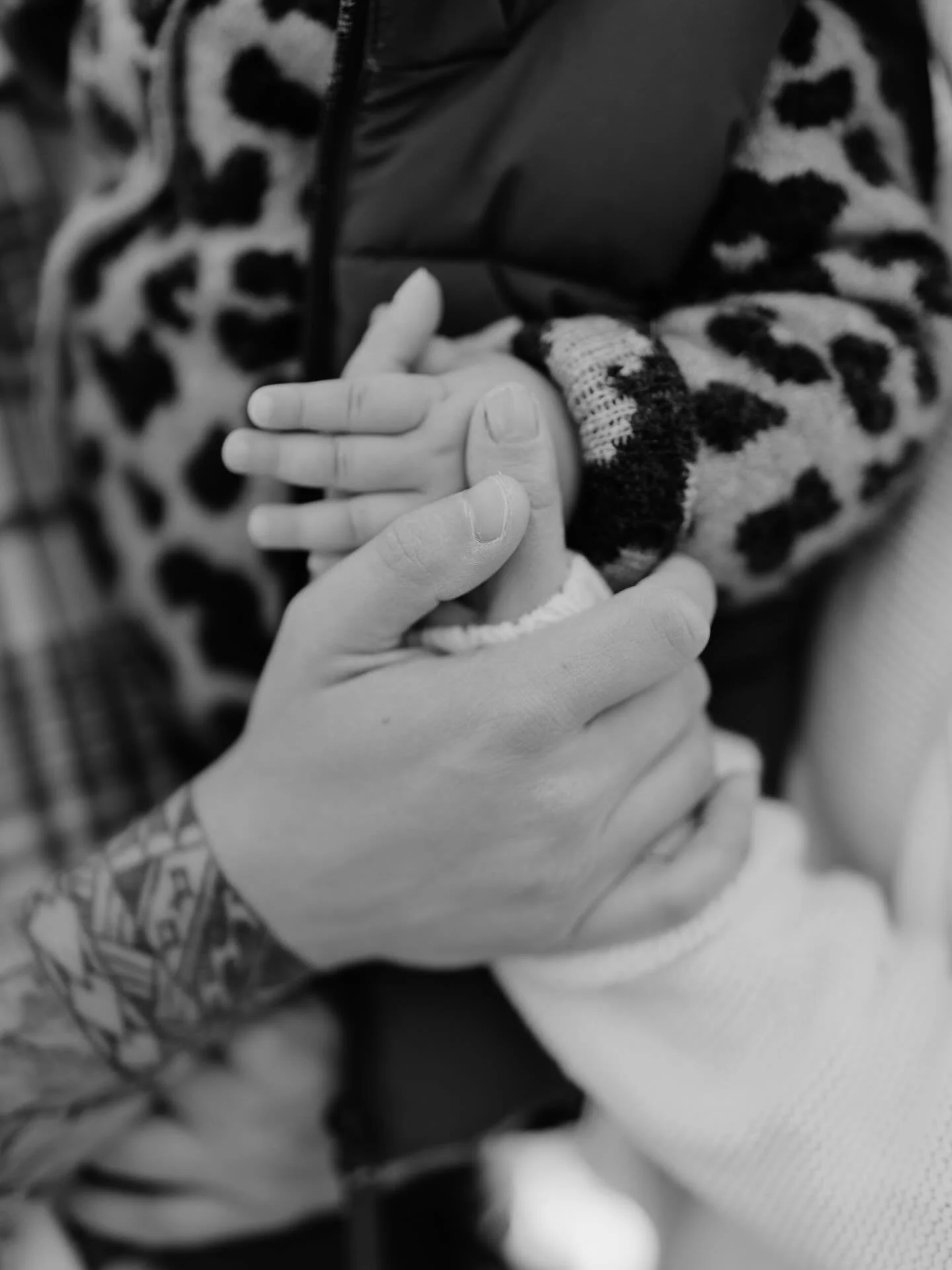 Little Family ❤️

#familienfotografie #familienshooting #kinderfotografie