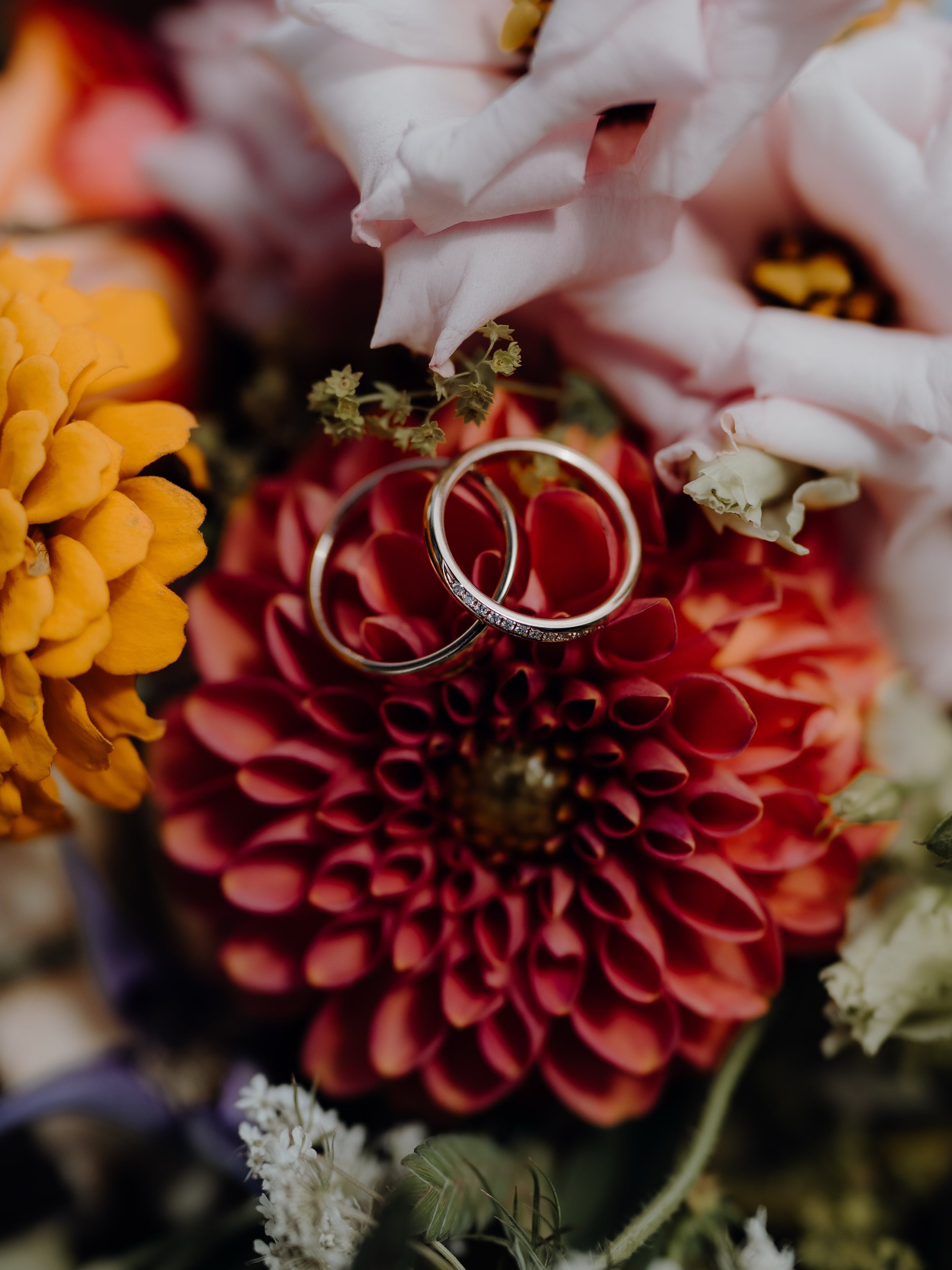 Details 💍✨🤍

So unfassbar wichtig! Wir lieben es, diese kleinen Dinge festzuhalten 🥺❤️ 

Brautpaar: @yvxnne_hfm &amp; @sebastian.zick 
Blumen: @gloriosa_weddings_flowers 
Kleid: @brautmodenclaudiaimschloss 
Anzug: @traumwelt.lautenbacher 
Karte: @