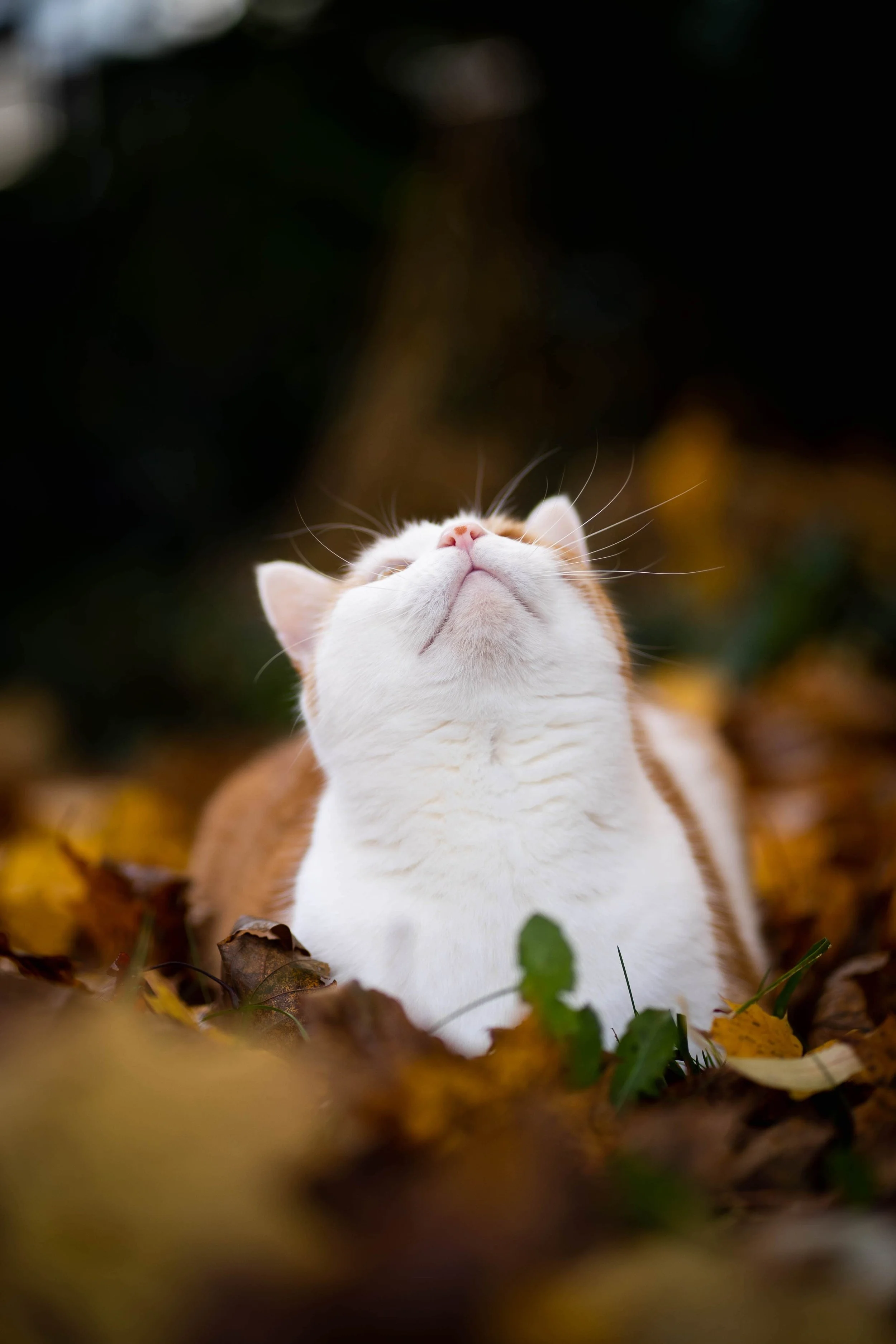 PH007056-min (1).jpg