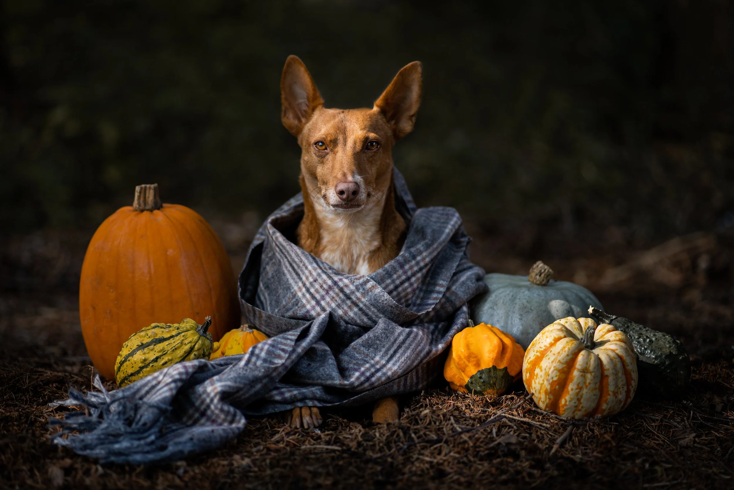 PH006066-Bearbeitet Kopie-min.jpg