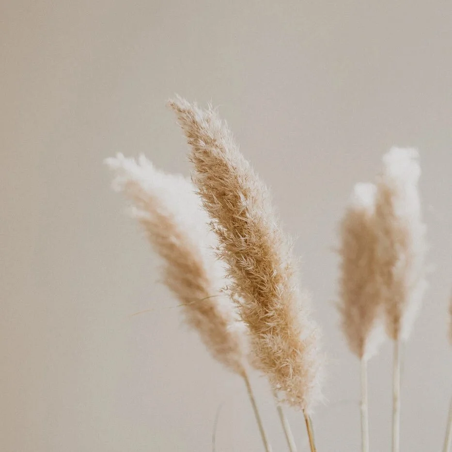 Busy deciding on decor for the studio!! So excited to get started! #comingsoon #skincare #selfcare #guildford