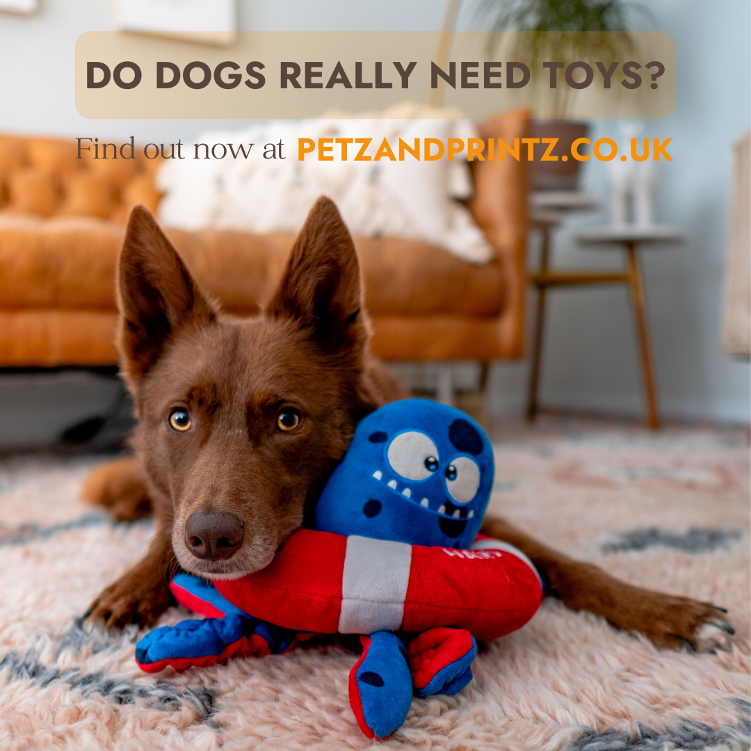 DO-DOGS-REALLY-NEED-TOYS.png