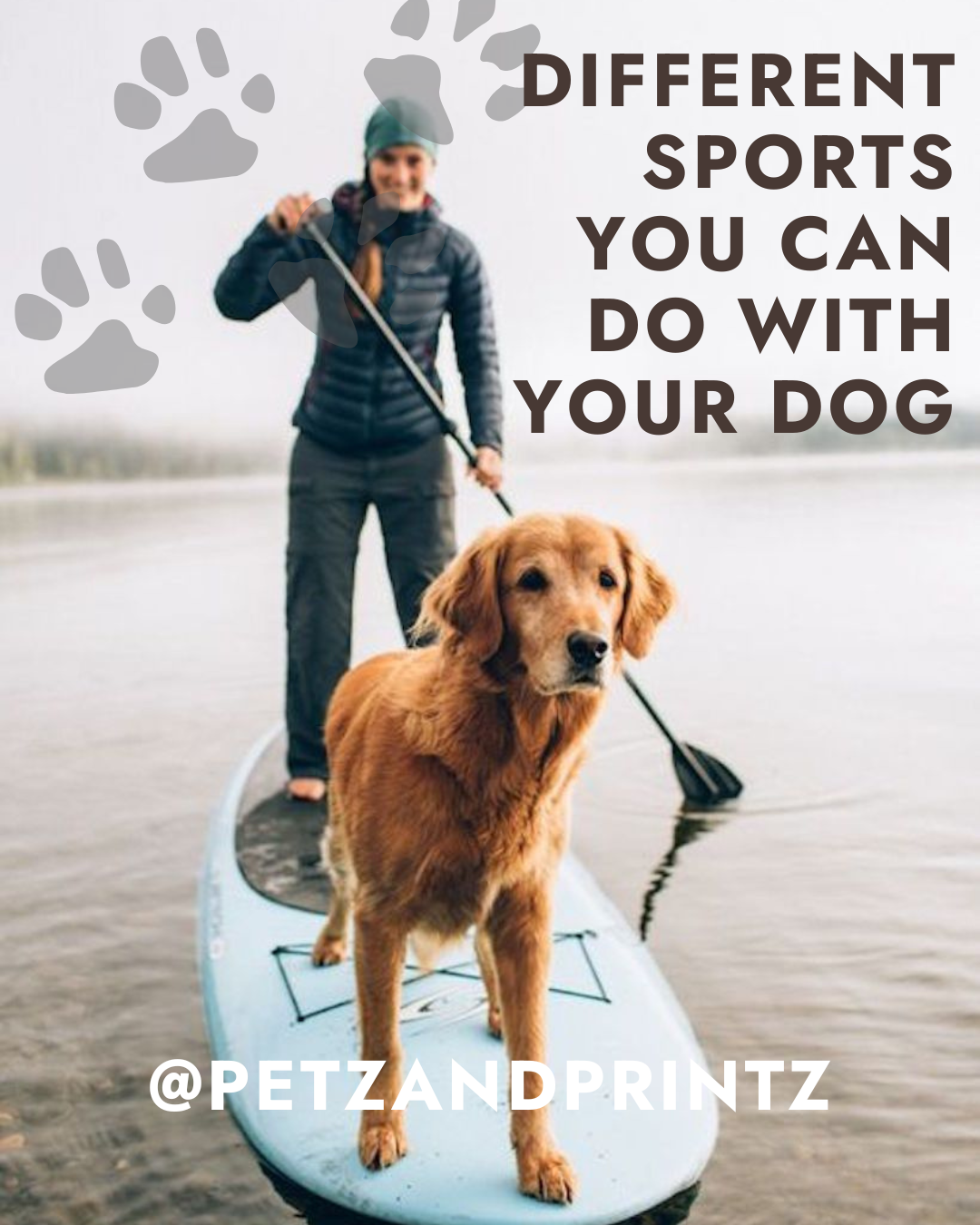Pet and equestrian e-commerce store