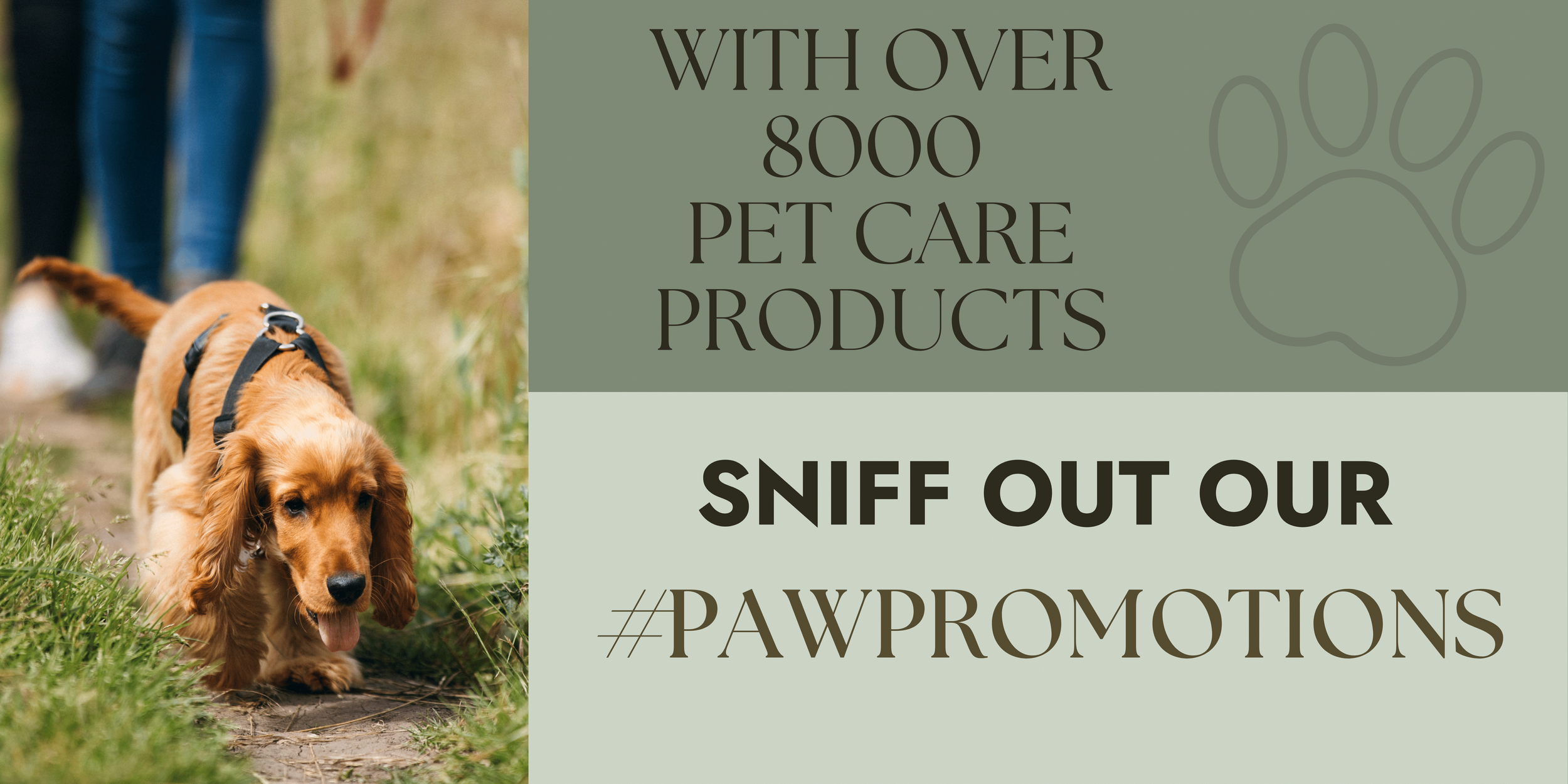 General-PAWPROMOTIONS-Banner-Landscape-low-res.png